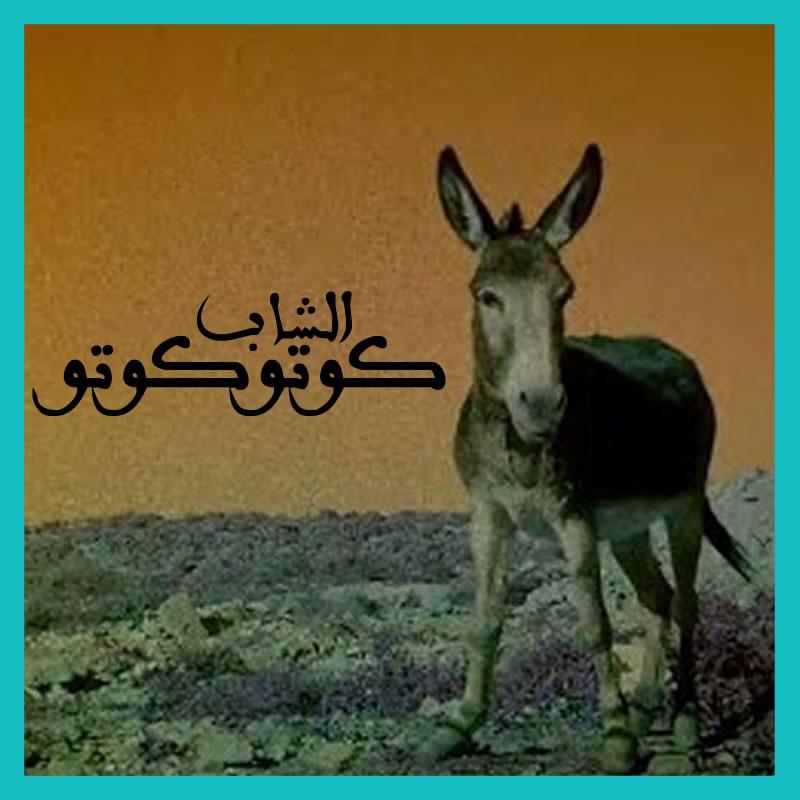 Kotokoto | كوتوكوتو